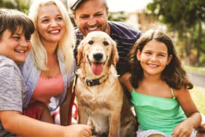 Dogs that are Good with Kids